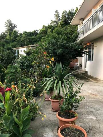 Фотографии Гостевой дом Kvariati Kako Guest House г. Квариати (Грузия) №1 Фото Гостевой дом Kvariati Kako Guest House г. Квариати 1