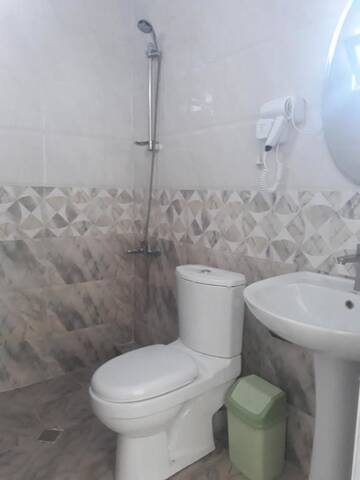 Фото номера Двухместный номер с 1 кроватью Гостевой дом Goga1 Guest House г. Квариати 3
