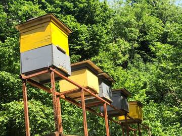 Фото номера Шале с двумя спальнями Шале Cottage Chalet in Kvariati г. Квариати 27